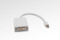 Mini DisplayPort to DVI Adapter