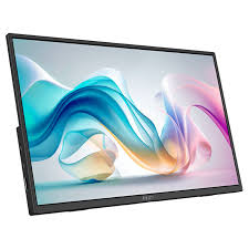 MSI PRO MP165 E6 15.6in FHD IPS Portable