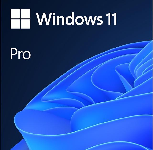Microsoft FQC-10528 Windows 11 Pro 64bit OEM DVD